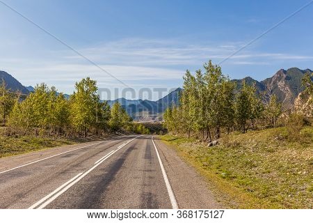 Summer In Altai Russia, Road To Altai Mountains, Beautiful Summer Viewof Altai Mountains.