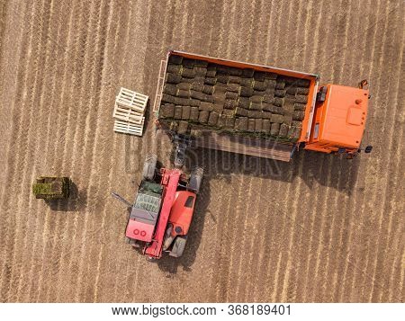 Loading Green Lown Rolls In The Truck. Aerial Top Down Drone Shot.