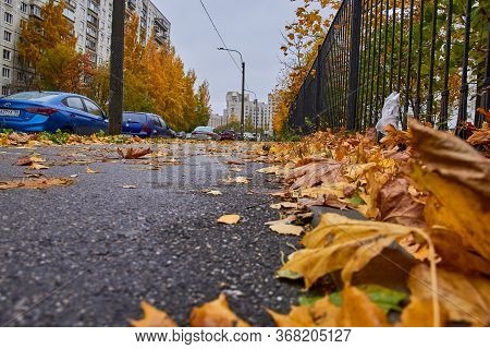 Russia, Saint-petersburg, September 2019: Autumn Leaves On The Pavement