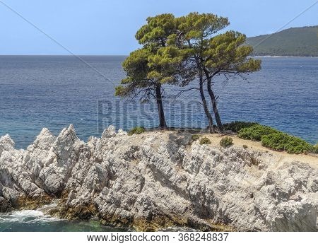Trees At Amarantos Rocks At Skopelos Island At The Sporades In Greece