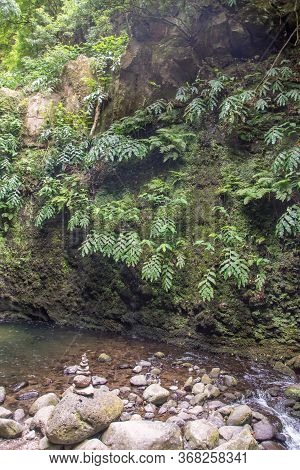 Walk And Discover The Prego Salto Waterfall On The Island Of Sao Miguel, Azores