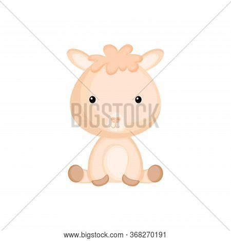 Cute Funny Sitting Baby Alpaca Isolated On White Background. Domestic Adorable Animal Character For 