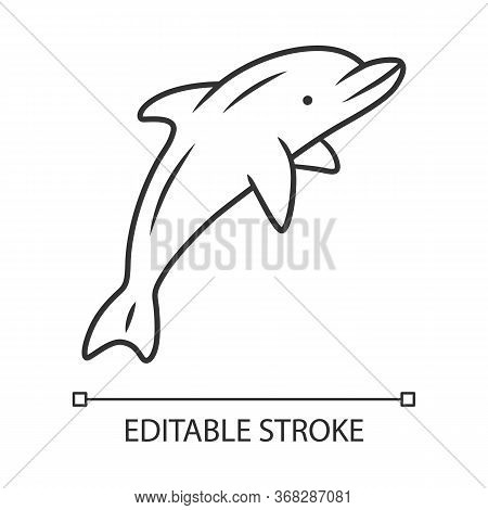 Dolphin Linear Icon. Undersea World. High Intelligent Water Creature. Marine Fauna. Entertainment Do