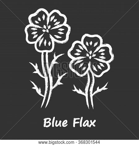 Blue Flax Plant Chalk Icon. Linen Wild Flower With Name Inscription. Spring Blossom. Blooming Linum 