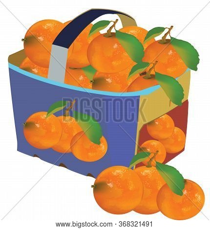 Fruit Basket For Transport With Cardboard Handle