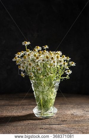 German Chamomile Flowers In A Vase On A Table