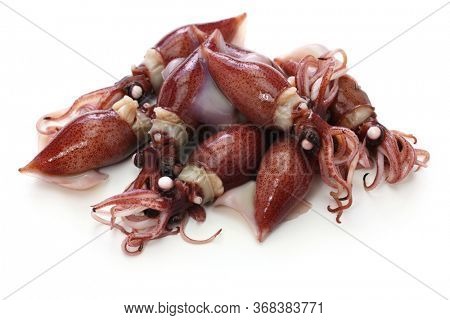 boiled firefly squid, japanes seafood