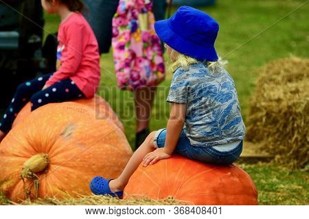 Auckland, New Zealand - Mar 2020. A Cute Child Sitting On A Giant Pumpkin. Farmers Market, With Colo