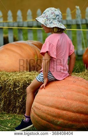 Auckland, New Zealand - Mar 2020. A Cute Child Sitting On A Giant Pumpkin. Farmers Market, With Colo