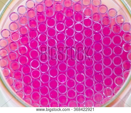 Close Up Abstract Capillary Tube Design For Background,selective Focus