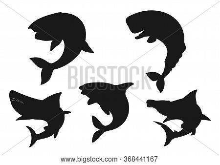 Whale, Shark And Orca Black Silhouettes Of Sea Animals. Vector Blue, Killer And Sperm Whales, Hammer
