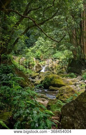 Walk And Discover The Prego Salto Waterfall On The Island Of Sao Miguel, Azores