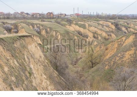 March Landscape With Soil Erosion And Flowering Apricot Trees In Loamy Ravines Near Dnipro City, Ukr