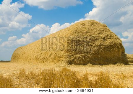 Hayrick