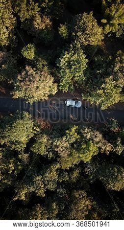 Indore, India - May 21,\\\'2020: Drone shot of people in between trees wandering around the countryside.