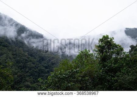 Podocarpus National Park, Ecuador, View Of Rainforest Mountains In The Mist