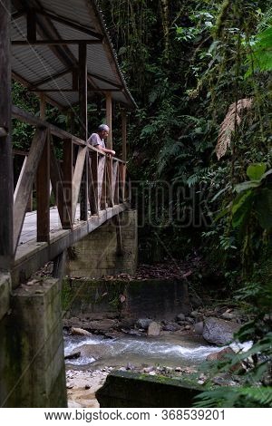 Man Over A Wooden Bridge At Podocarpus National Park, Ecuador