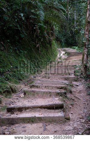 Stairs Along The Trail At Podocarpus National Park, Ecuador