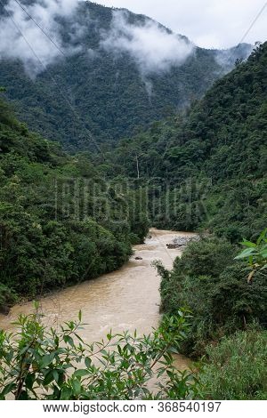 River Inside Of Podocarpus National Park, Ecuador