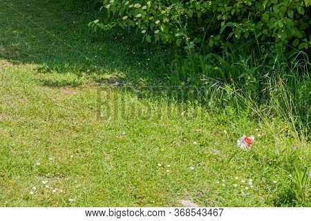 Beek, South Limburg / Netherlands. May 21, 2020. A Small Bag Of Potatoes From A Well-known Hamburger
