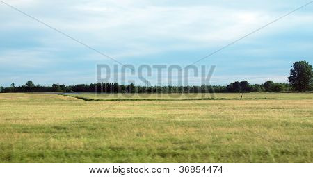 Paddy field
