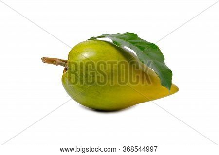 Canistel Fruit (egg Fruit, Tiesa, Yellow Sapote, Canistelsapote, Chesa, Pouteria Lucuma) Isolated On
