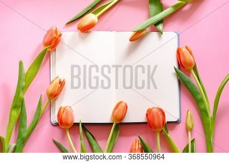 Spring Flat Lay With Orange Tulips On Pink Background. Copy Space For A Frase Or Advertisement.