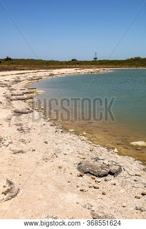An image of Stromatolites Lake Thetis Western Australia