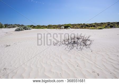An image of white dune sand scenery western Australia