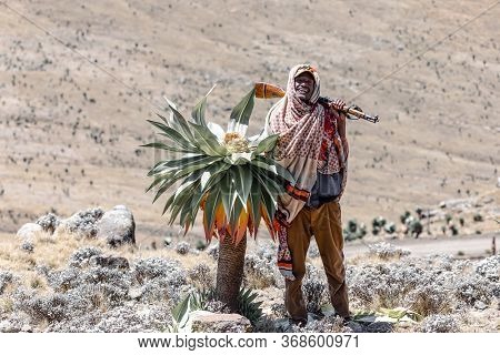 Simien Mountain, Ethiopia, April 24th 2019, Unidentified Park Scout With His Rifle In National Park 