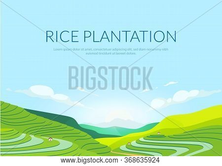 Terraced Plantation Poster Flat Vector Template. Chinese Rice Fields. Tea Plantations. Brochure, Boo