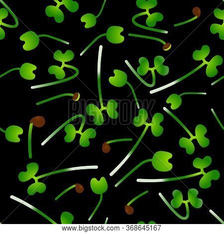 Microgreens Tatsoi. Sprouting Seeds Of A Plant. Seamless Pattern. Vitamin Supplement, Vegan Food.