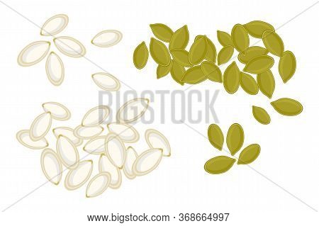 Pumpkin Seeds Isolated On White Background. Whole And Peeled Pumpkin Seeds. Roasted Pumpkin Seeds In