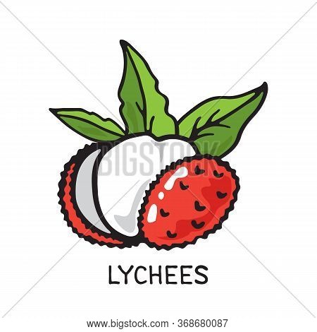 Doodle Lychees Isolated On White Background. Vector Illustration. Design Element For Greeting Card, 