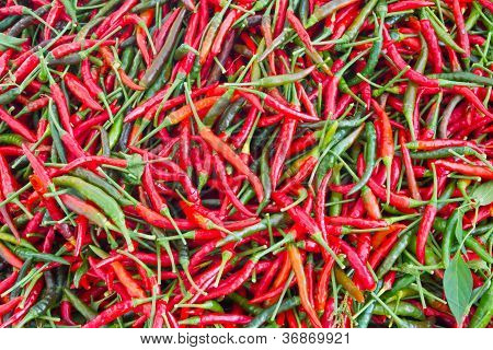 Kleurrijke chili