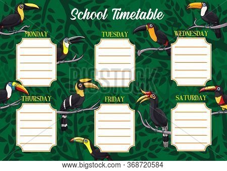School Timetable Or Schedule, Education Vector Template With Exotic Toucan Birds. Student Planner Or