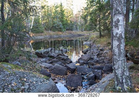 The View Of Nature At Tyresta National Park, Sweden.