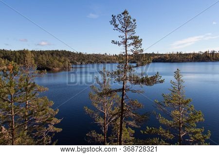 The View Of Nature At Tyresta National Park, Sweden.