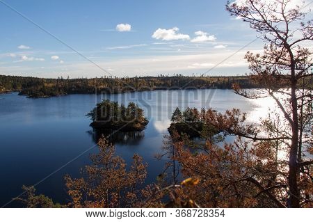 The View Of Nature At Tyresta National Park, Sweden.