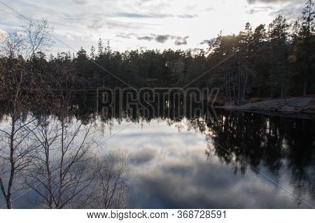 The View Of Nature At Tyresta National Park, Sweden.