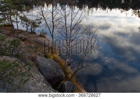 The View Of Nature At Tyresta National Park, Sweden.