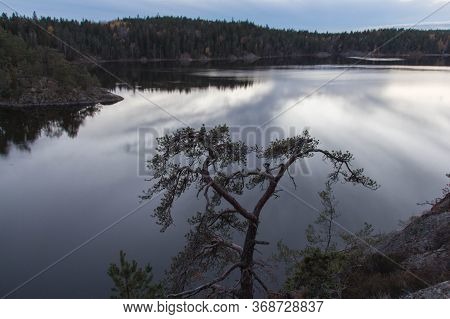 The View Of Nature At Tyresta National Park, Sweden.