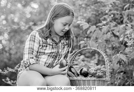 So Tasty. Little Girl Vegetable In Basket. Only Natural. Healthy Food For Children. Kid On Summer Fa