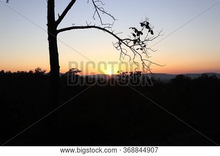 A Gorgeous Evening And Leafless Tree. Sunset Point Of Chiraidongri Mandla Road.