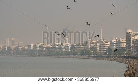 Panorama Of The City Of Mumbai In The Haze. India.