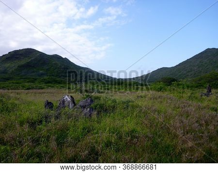 Lush Valley With Road In Distance Within Kaiwi State Scenic Shoreline On O'ahu's Southeastern Coastl