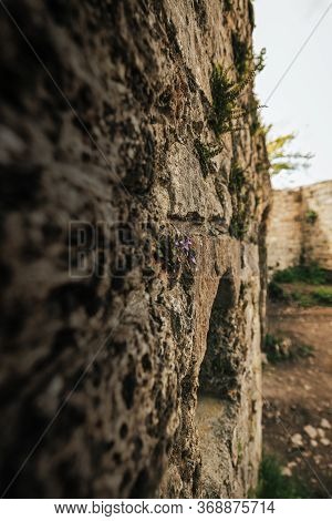 Old Wall Remains Of The Ruin Castle Hohenurach In Bad Urach Germany