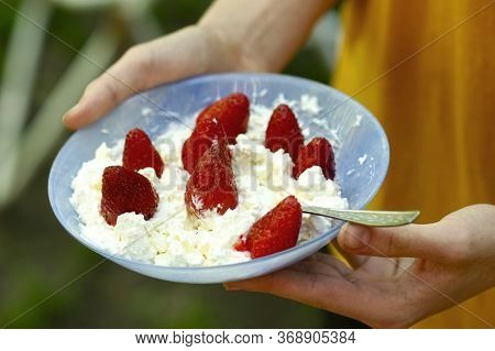 Healthy Breakfast - Cottage Cheese Curd With Fruit Strawberry