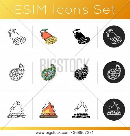 Indian Culture Icons Set. Mango Fruit. Fresh Tropical Food. Paisley Pattern. Cypress Tree. Hindu Fun