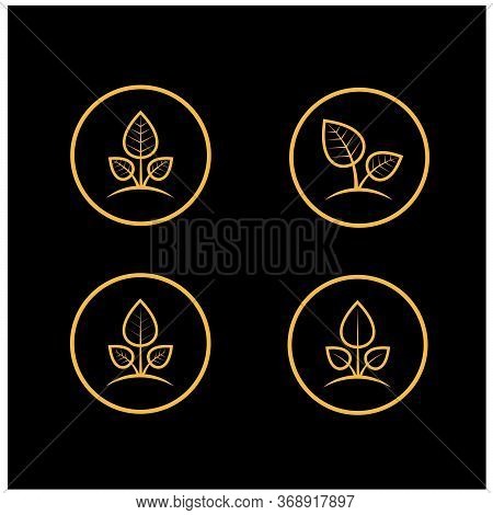 Leaf Icon Set Of Four Variations Ni Yellow Color, Fully Editable